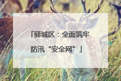驿城区：全面筑牢防汛“安全网”
