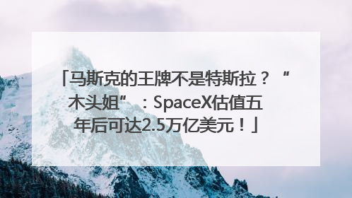 马斯克的王牌不是特斯拉？“木头姐”：SpaceX估值五年后可达2.5万亿美元！