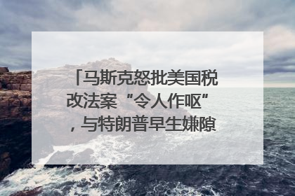 马斯克怒批美国税改法案“令人作呕”，与特朗普早生嫌隙？｜国际识局