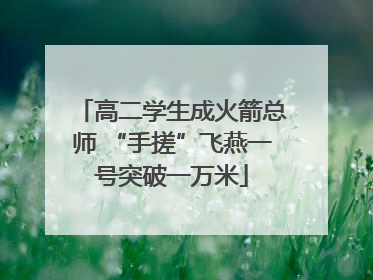 高二学生成火箭总师 “手搓”飞燕一号突破一万米