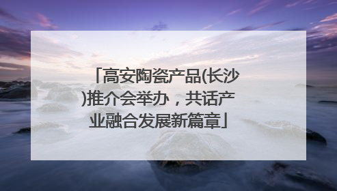 高安陶瓷产品(长沙)推介会举办，共话产业融合发展新篇章