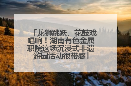 龙狮跳跃、花鼓戏唱响！湖南有色金属职院这场沉浸式非遗游园活动很带感