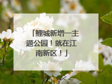 鲤城新增一主题公园！就在江南新区！