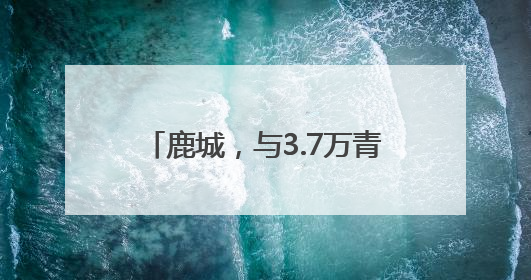 鹿城，与3.7万青年谈了一场“恋爱”