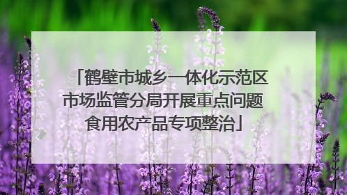 鹤壁市城乡一体化示范区市场监管分局开展重点问题食用农产品专项整治