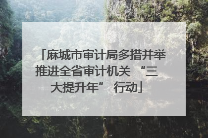 麻城市审计局多措并举推进全省审计机关 “三大提升年” 行动