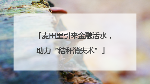 麦田里引来金融活水，助力“秸秆消失术”