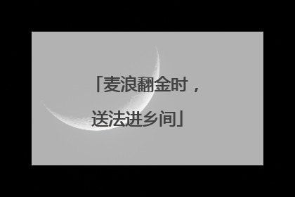 麦浪翻金时，送法进乡间