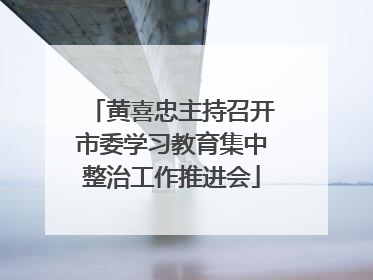 黄喜忠主持召开市委学习教育集中整治工作推进会