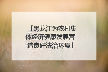 黑龙江为农村集体经济健康发展营造良好法治环境