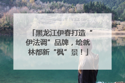 黑龙江伊春打造“伊法调”品牌，绘就林都新“枫”景！