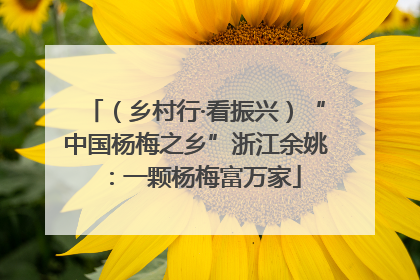 （乡村行·看振兴）“中国杨梅之乡”浙江余姚：一颗杨梅富万家