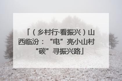 （乡村行·看振兴）山西临汾：“电”亮小山村 “碳”寻振兴路