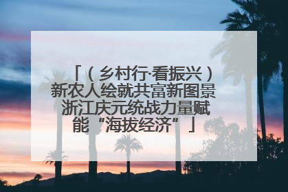 （乡村行·看振兴）新农人绘就共富新图景 浙江庆元统战力量赋能“海拔经济”