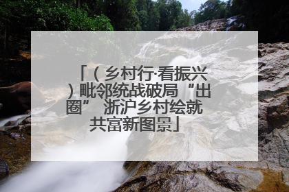 （乡村行·看振兴）毗邻统战破局“出圈” 浙沪乡村绘就共富新图景