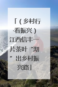 （乡村行·看振兴）江西信丰一片茶叶“沏”出乡村振兴路