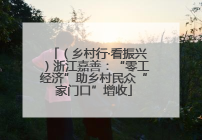 （乡村行·看振兴）浙江嘉善：“零工经济”助乡村民众“家门口”增收