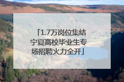 1.7万岗位集结 宁夏高校毕业生专场招聘火力全开