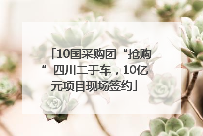 10国采购团“抢购”四川二手车，10亿元项目现场签约