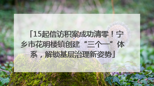 15起信访积案成功清零！宁乡市花明楼镇创建“三个一”体系，解锁基层治理新姿势