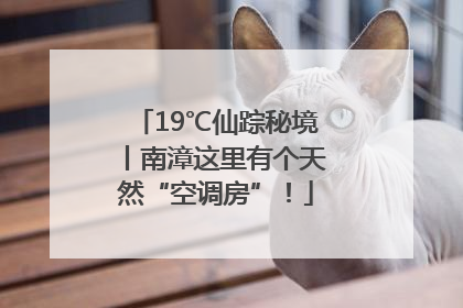 19℃仙踪秘境丨南漳这里有个天然“空调房”！