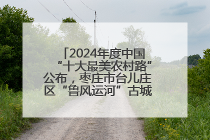 2024年度中国“十大最美农村路”公布，枣庄市台儿庄区“鲁风运河”古城文化廊道上榜！