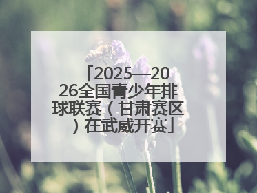 2025—2026全国青少年排球联赛（甘肃赛区）在武威开赛