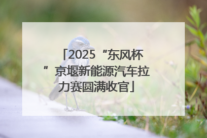2025“东风杯”京堰新能源汽车拉力赛圆满收官