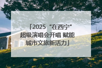 2025“在西宁”超级演唱会开唱 赋能城市文旅新活力