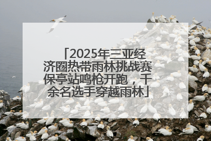 2025年三亚经济圈热带雨林挑战赛保亭站鸣枪开跑，千余名选手穿越雨林