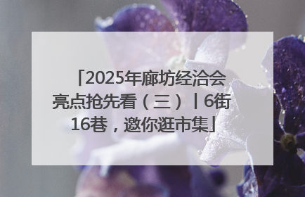 2025年廊坊经洽会亮点抢先看（三）丨6街16巷，邀你逛市集