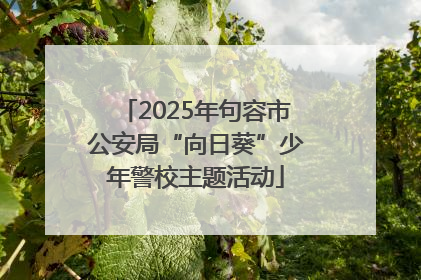 2025年句容市公安局“向日葵”少年警校主题活动