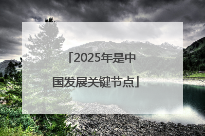 2025年是中国发展关键节点