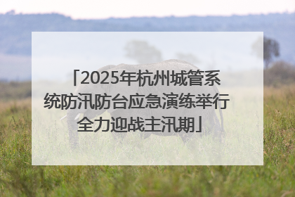 2025年杭州城管系统防汛防台应急演练举行 全力迎战主汛期
