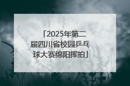 2025年第二届四川省校园乒乓球大赛绵阳挥拍