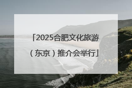 2025合肥文化旅游（东京）推介会举行