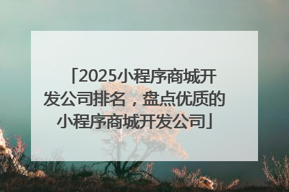 2025小程序商城开发公司排名，盘点优质的小程序商城开发公司