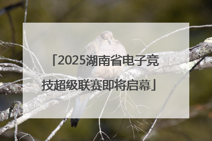 2025湖南省电子竞技超级联赛即将启幕