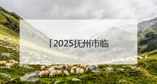 2025抚州市临川区端午龙舟赛暨文旅消费季火热启幕