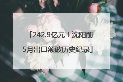 242.9亿元！沈阳前5月出口额破历史纪录