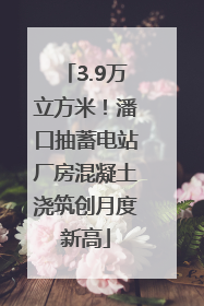 3.9万立方米！潘口抽蓄电站厂房混凝土浇筑创月度新高