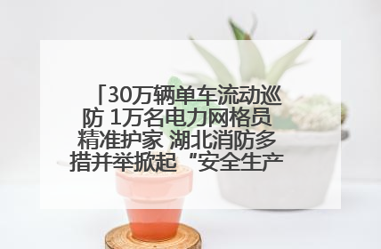 30万辆单车流动巡防 1万名电力网格员精准护家 湖北消防多措并举掀起“安全生产月”宣传热潮