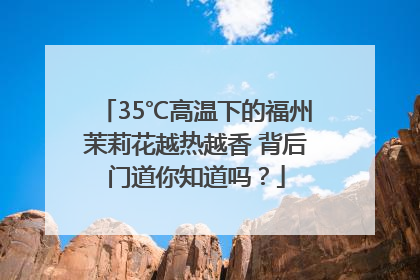 35℃高温下的福州茉莉花越热越香 背后门道你知道吗？
