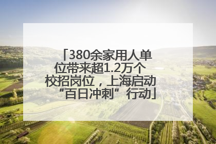 380余家用人单位带来超1.2万个校招岗位，上海启动“百日冲刺”行动