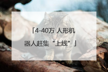 4-40万 人形机器人赶集“上线”