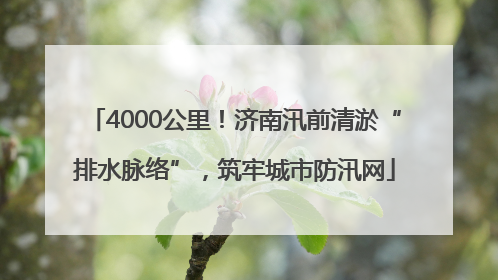 4000公里！济南汛前清淤“排水脉络”，筑牢城市防汛网