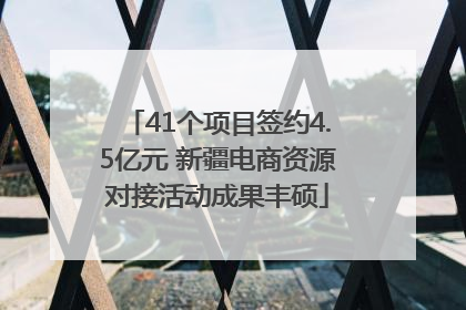 41个项目签约4.5亿元 新疆电商资源对接活动成果丰硕
