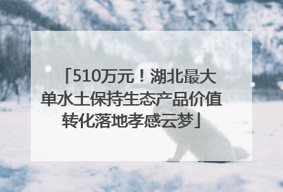 510万元！湖北最大单水土保持生态产品价值转化落地孝感云梦