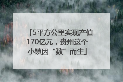 5平方公里实现产值170亿元，贵州这个小镇因“数”而生