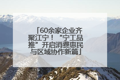 60余家企业齐聚江宁！“宁工品推”开启消费惠民与区域协作新篇